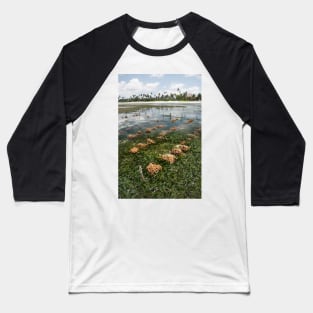 Matemwe Shellfish culture Baseball T-Shirt